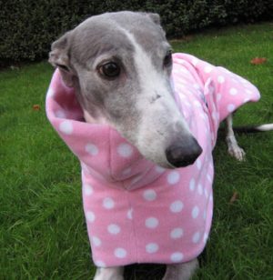 Greyhound Coat Pink